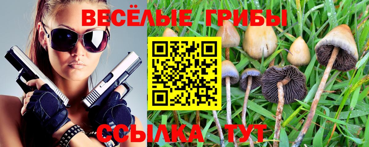 Галлюциногенные грибы Cubensis Невинномысск