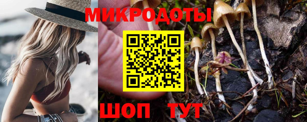 Псилоцибиновые грибы Cubensis  Вход с VPN  Невинномысск 